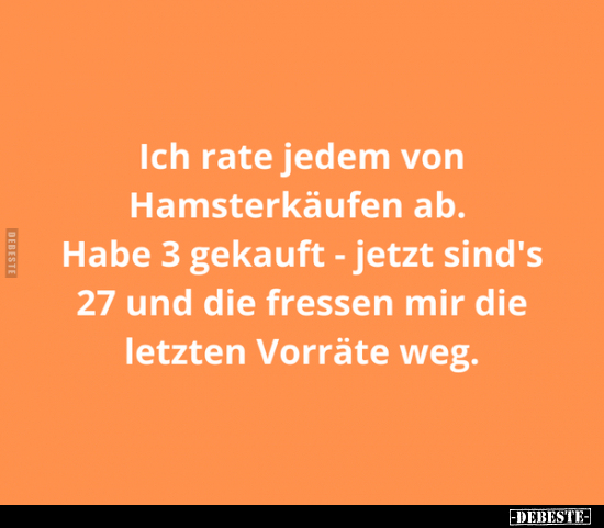 Ich rate jedem von Hamsterkäufen ab... - Lustige Bilder | DEBESTE.de