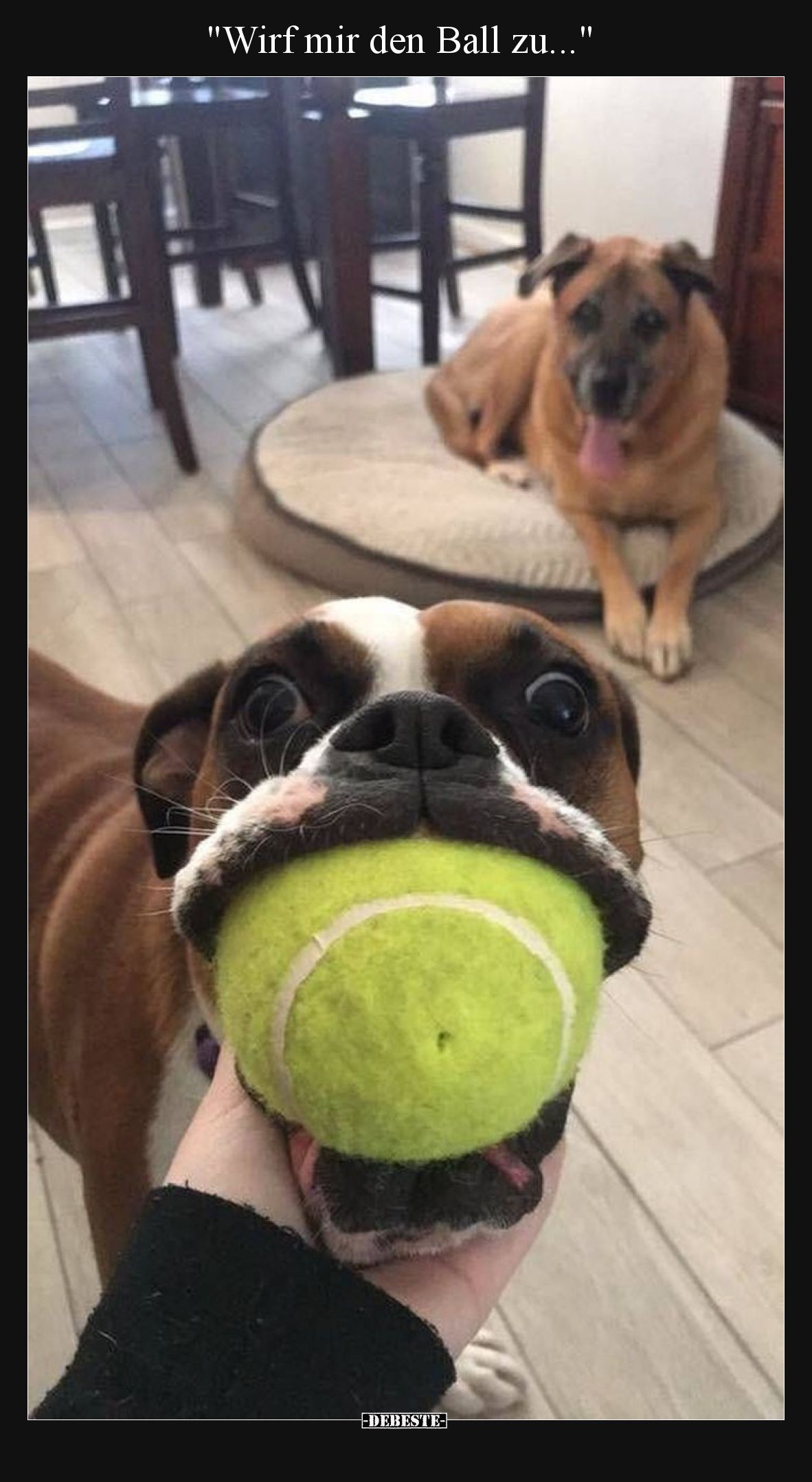 Wirf mir den Ball zu.