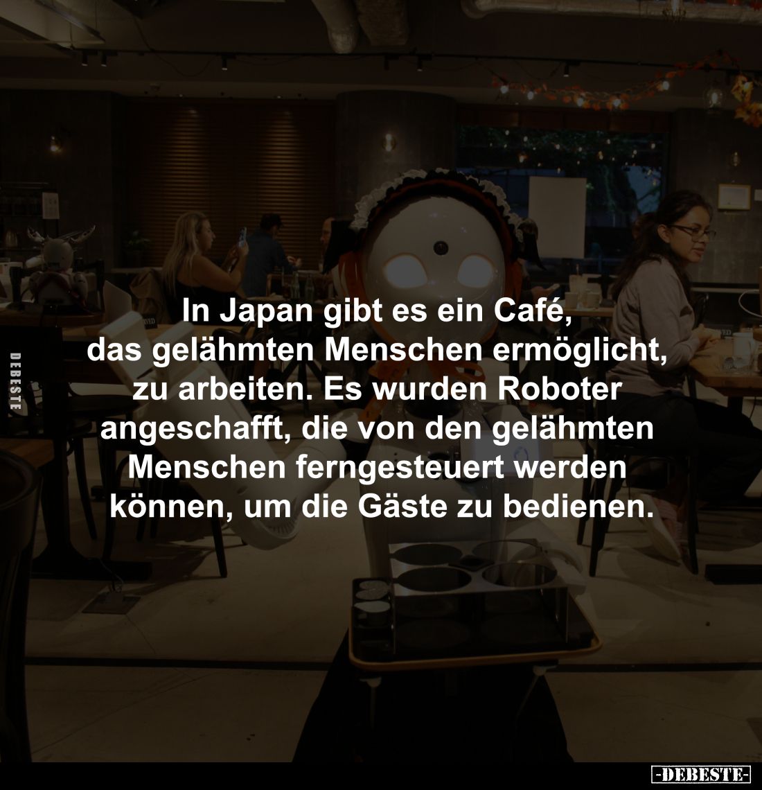 In Japan gibt es ein Café... - Lustige Bilder | DEBESTE.de