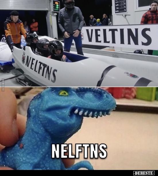 Nelftns