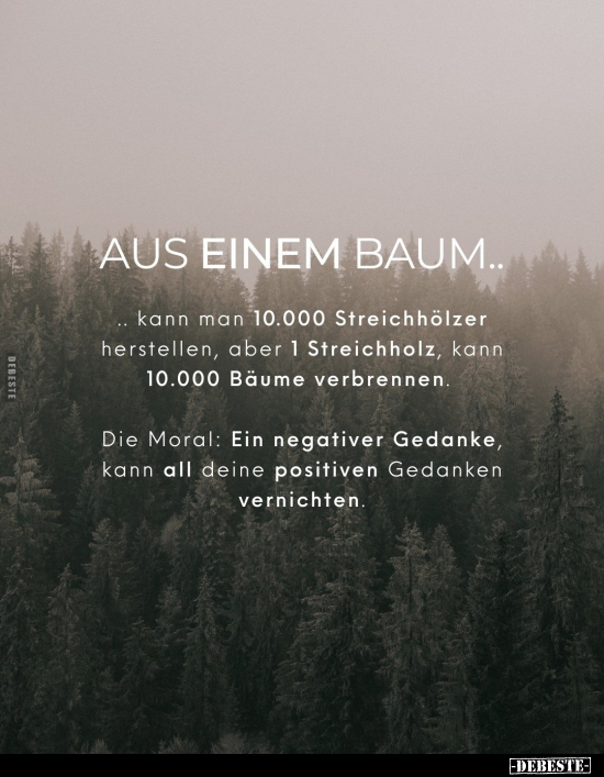 Aus einem Baum kann man 10.000 Streichhölzer herstellen.. - Lustige Bilder | DEBESTE.de