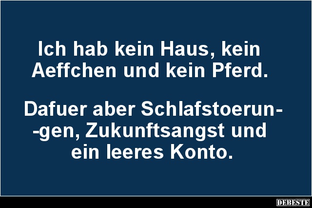 Ich hab kein Haus, kein Aeffchen und kein Pferd.. - Lustige Bilder | DEBESTE.de