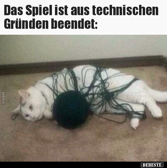 Das Spiel ist aus technischen Gründen beendet: