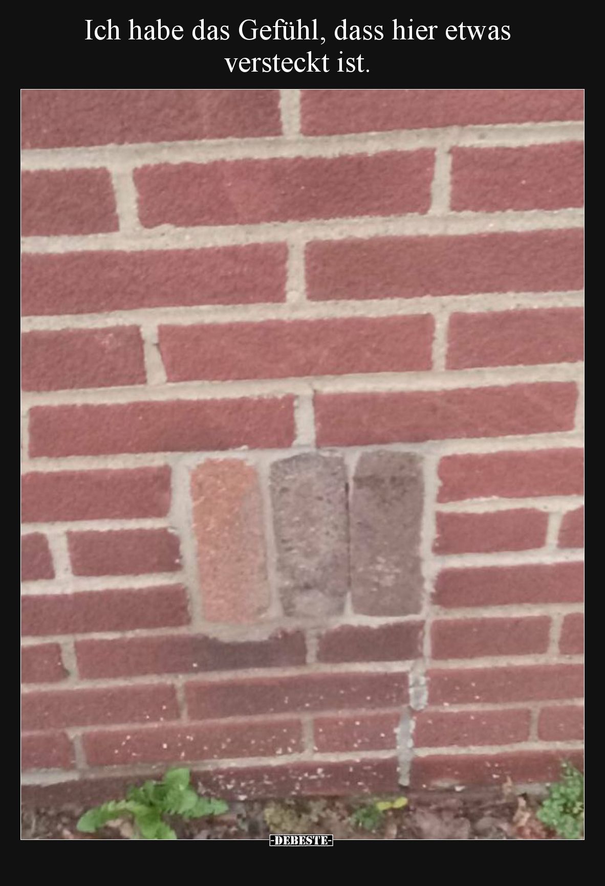 Ich habe das Gefühl, dass hier etwas versteckt ist... - Lustige Bilder | DEBESTE.de