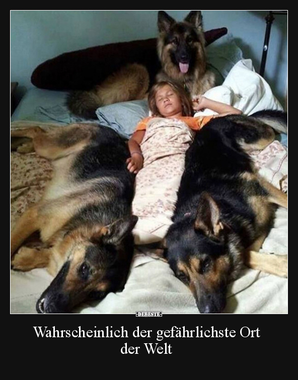 Wahrscheinlich der gefährlichste Ort der Welt.. - Lustige Bilder | DEBESTE.de