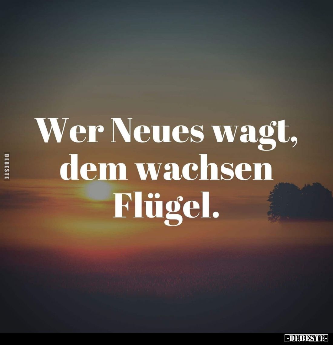 Wer Neues wagt, dem wachsen Flügel.