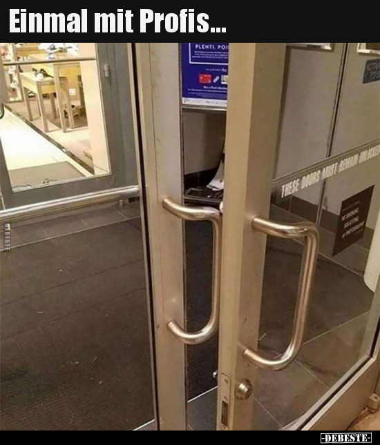 Einmal mit Profis...