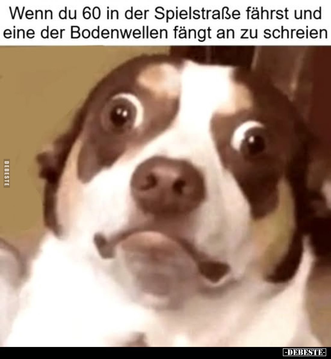 Wenn du 60 in der Spielstraße fährst und eine der Bodenwellen fängt an zu schreien.