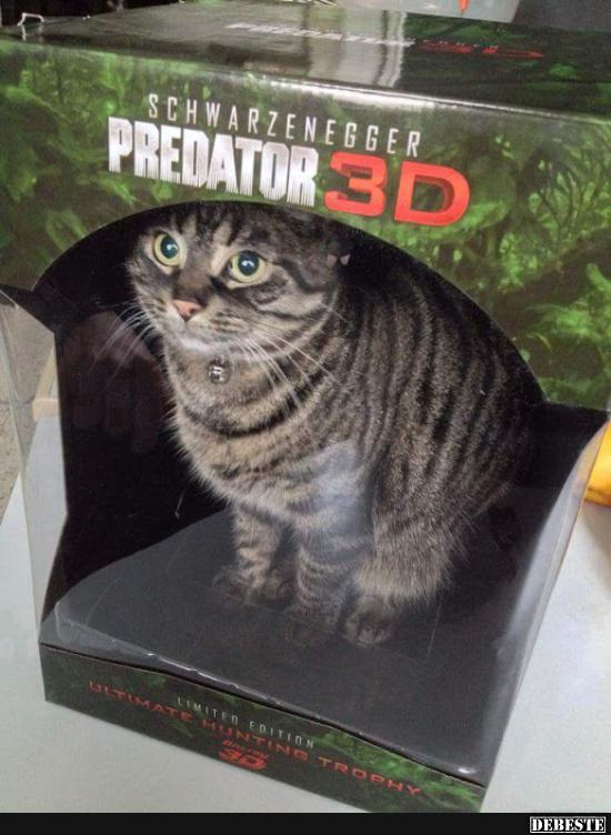 Predator 3D. - Lustige Bilder | DEBESTE.de