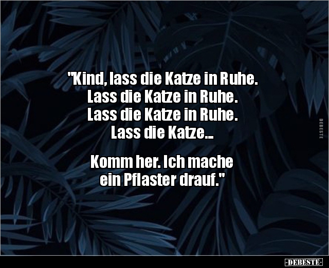 "Kind, lass die Katze in Ruhe. Lass die Katze in Ruhe..." - Lustige Bilder | DEBESTE.de