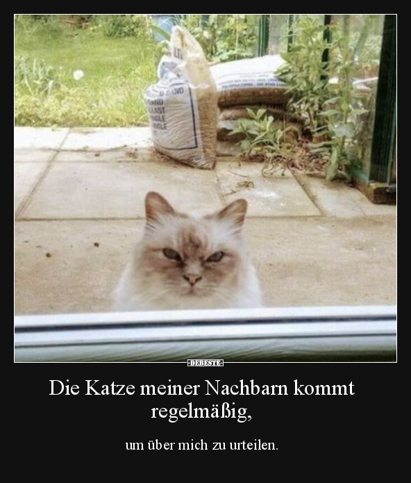 Die Katze meiner Nachbarn kommt regelmäßig.. - Lustige Bilder | DEBESTE.de