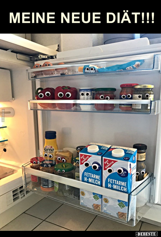 Meine neue Diät!..