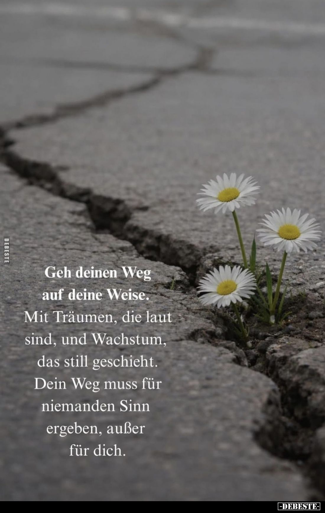 Geh deinen Weg auf deine Weise. Mit Träumen, die laut sind, und Wachstum, das still geschieht. Dein Weg muss für niemanden Si...