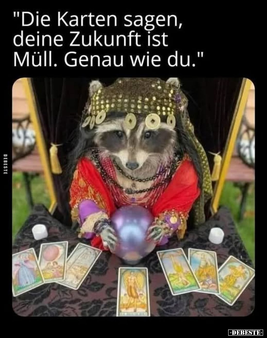 "Die Karten sagen, deine Zukunft ist Müll. Genau wie du."