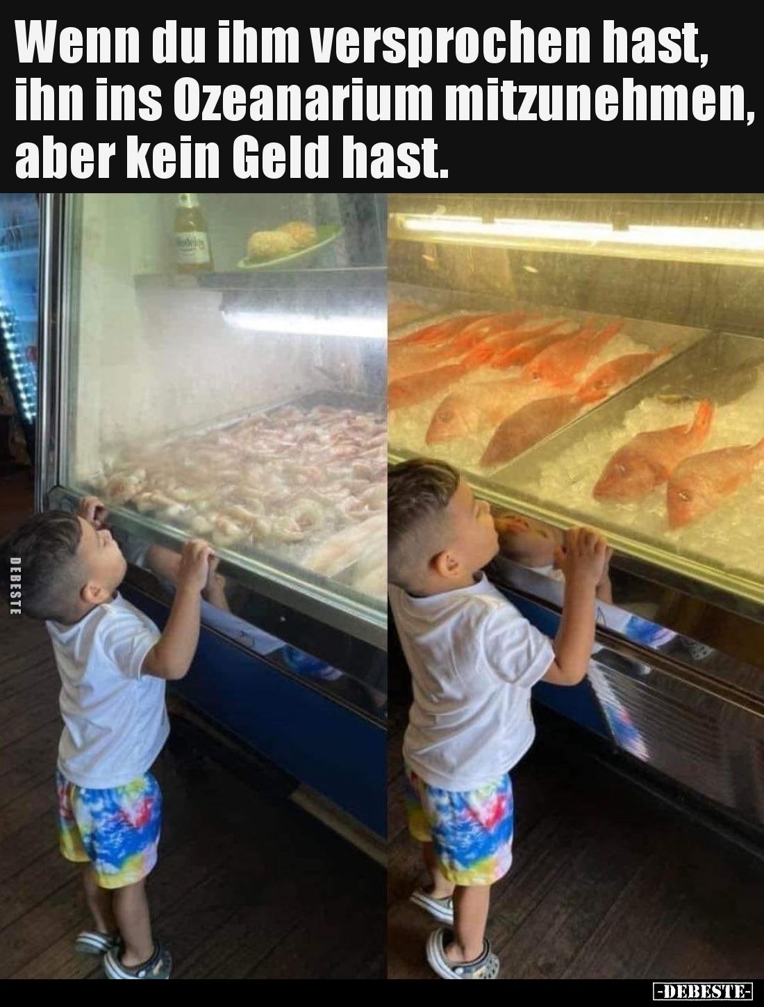 Wenn du ihm versprochen hast, ihn ins Ozeanarium.. - Lustige Bilder | DEBESTE.de