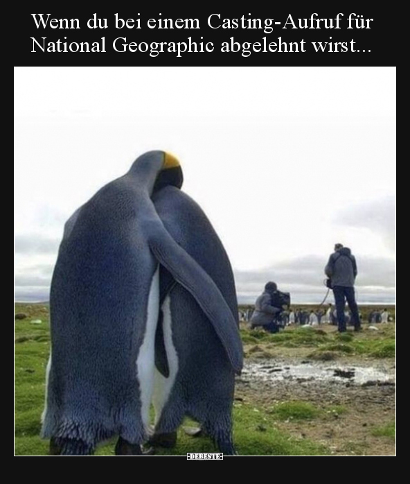 Wenn du bei einem Casting-Aufruf für National Geographic.. - Lustige Bilder | DEBESTE.de