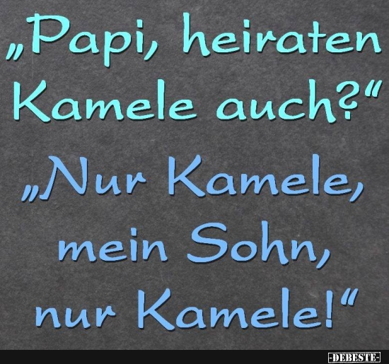 Papi, heiraten Kamele auch? - Lustige Bilder | DEBESTE.de