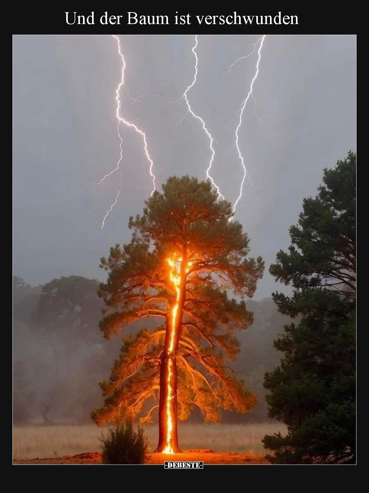 Und der Baum ist verschwunden