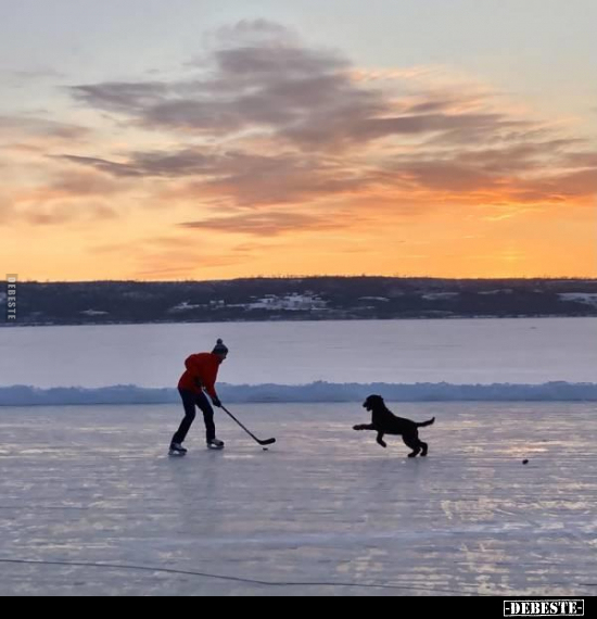  - Lustige Bilder | DEBESTE.de