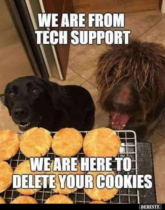 Der technische Support..