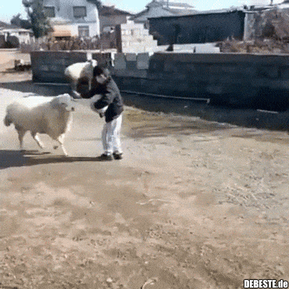  - Lustige Bilder | DEBESTE.de