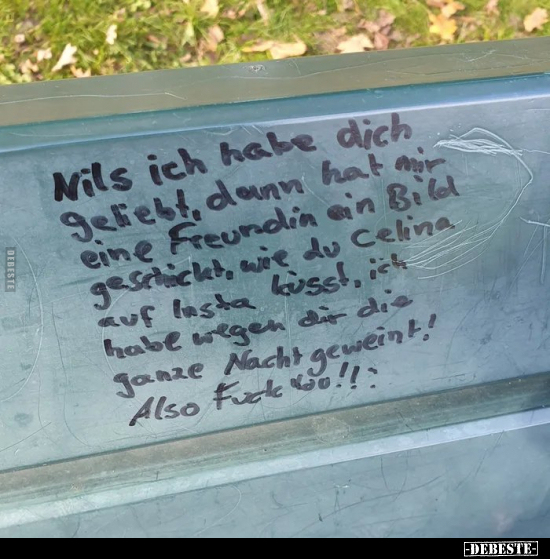 Nils ich habe dich geliebt, dann hat mir eine Freundin ein.. - Lustige Bilder | DEBESTE.de