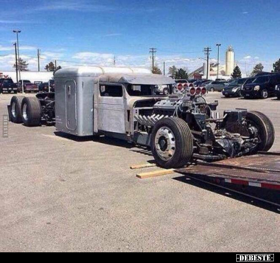  - Lustige Bilder | DEBESTE.de