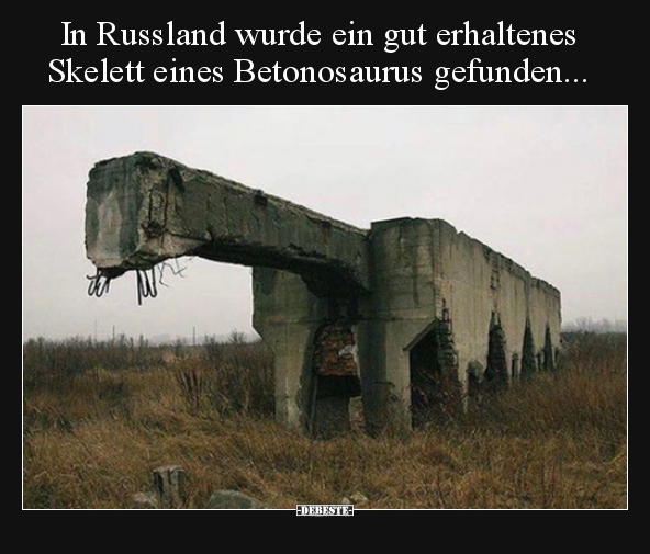 In Russland wurde ein gut erhaltenes Skelett eines..