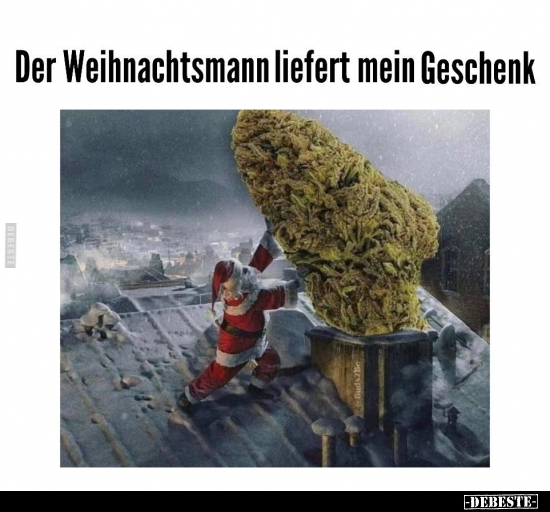 Der Weihnachtsmann liefert mein Geschenk.. - Lustige Bilder | DEBESTE.de