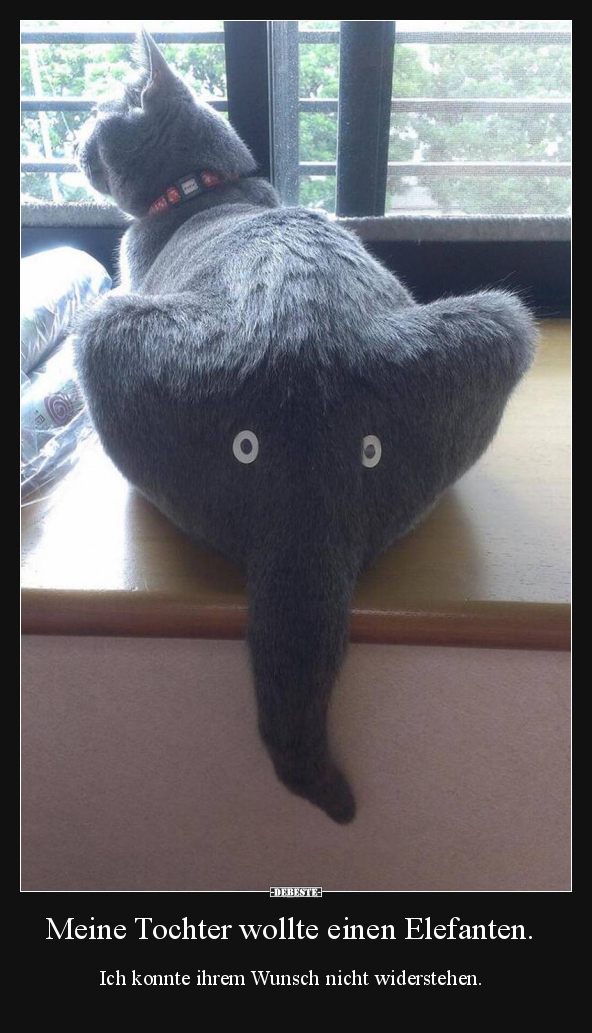 Meine Tochter wollte einen Elefanten... - Lustige Bilder | DEBESTE.de
