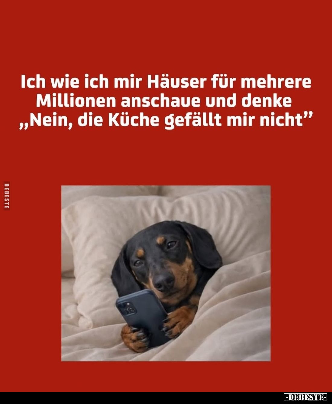 Ich wie ich mir Häuser für mehrere Millionen anschaue und denke "Nein, die Küche gefällt mir nicht".
