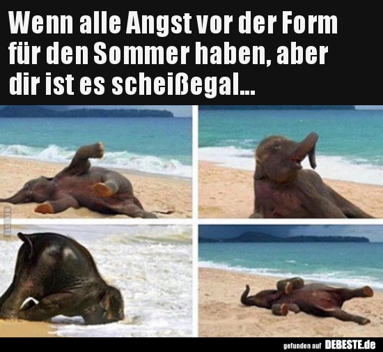 Wenn alle Angst vor der Form für den Sommer haben, aber..