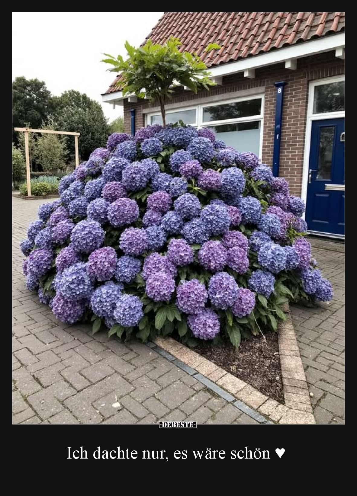 Ich dachte nur, es wäre schön ♥