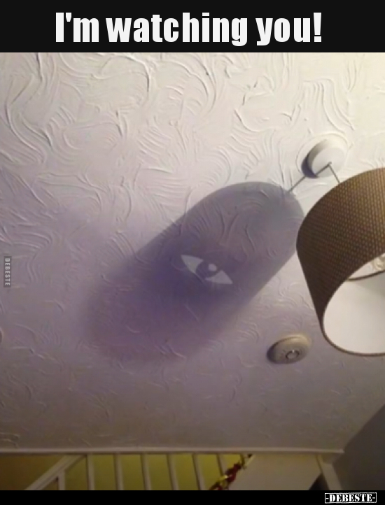 I'm watching you!..