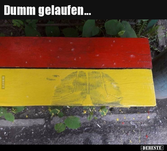 Dumm gelaufen... - Lustige Bilder | DEBESTE.de