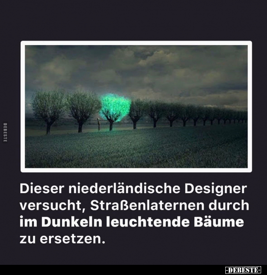 Dieser niederländische Designer versucht.. - Lustige Bilder | DEBESTE.de