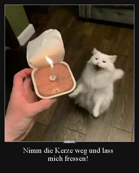 Nimm die Kerze weg und lass mich fressen!.. - Lustige Bilder | DEBESTE.de
