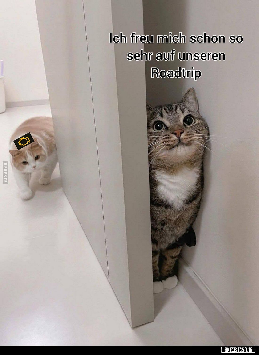 Ich freu mich schon so sehr auf unseren Roadtrip.
