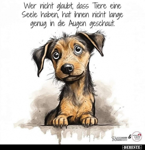 Wer nicht glaubt, dass Tiere eine Seele haben.. - Lustige Bilder | DEBESTE.de