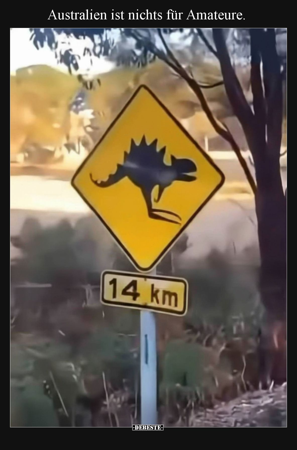 Australien ist nichts für Amateure... - Lustige Bilder | DEBESTE.de