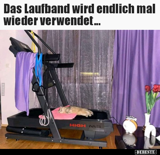 Das Laufband wird endlich mal wieder verwendet... - Lustige Bilder | DEBESTE.de