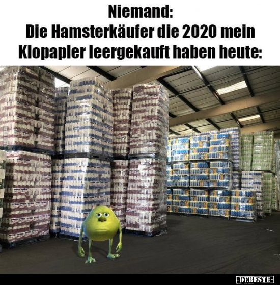 Niemand: Die Hamsterkäufer die 2020 mein Klopapier.. - Lustige Bilder | DEBESTE.de