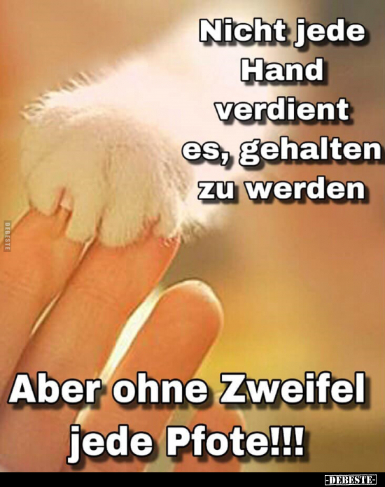 Nicht jede Hand verdient es, gehalten zu werden.
Aber ohne Zweifel jede Pfote!!!