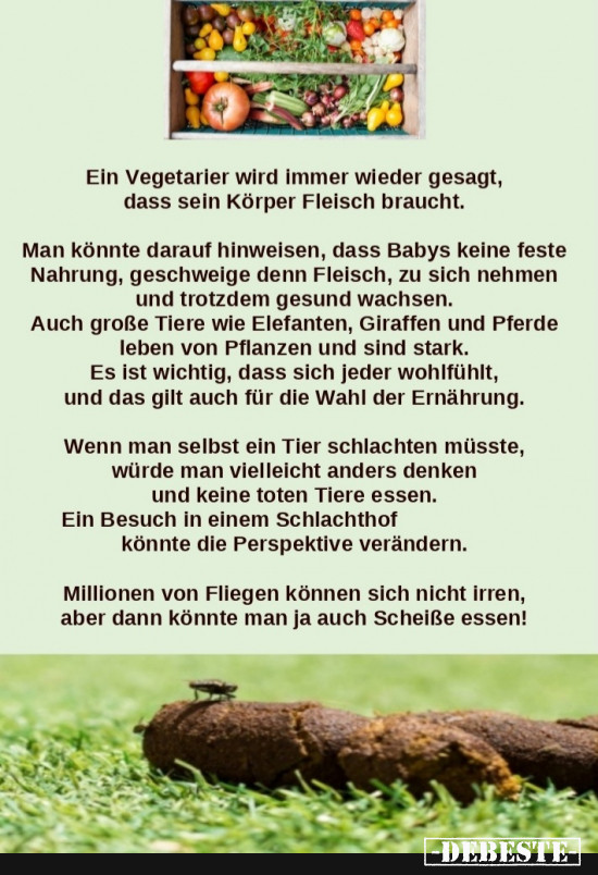 Millionen von Fliegen können sich nicht Irren  - Lustige Bilder | DEBESTE.de