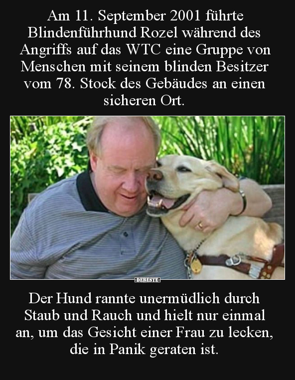 Am 11. September 2001 führte Blindenführhund Rozel während.. - Lustige Bilder | DEBESTE.de