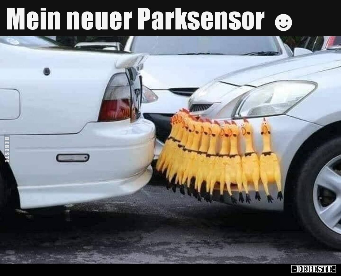 Mein neuer Parksensor.