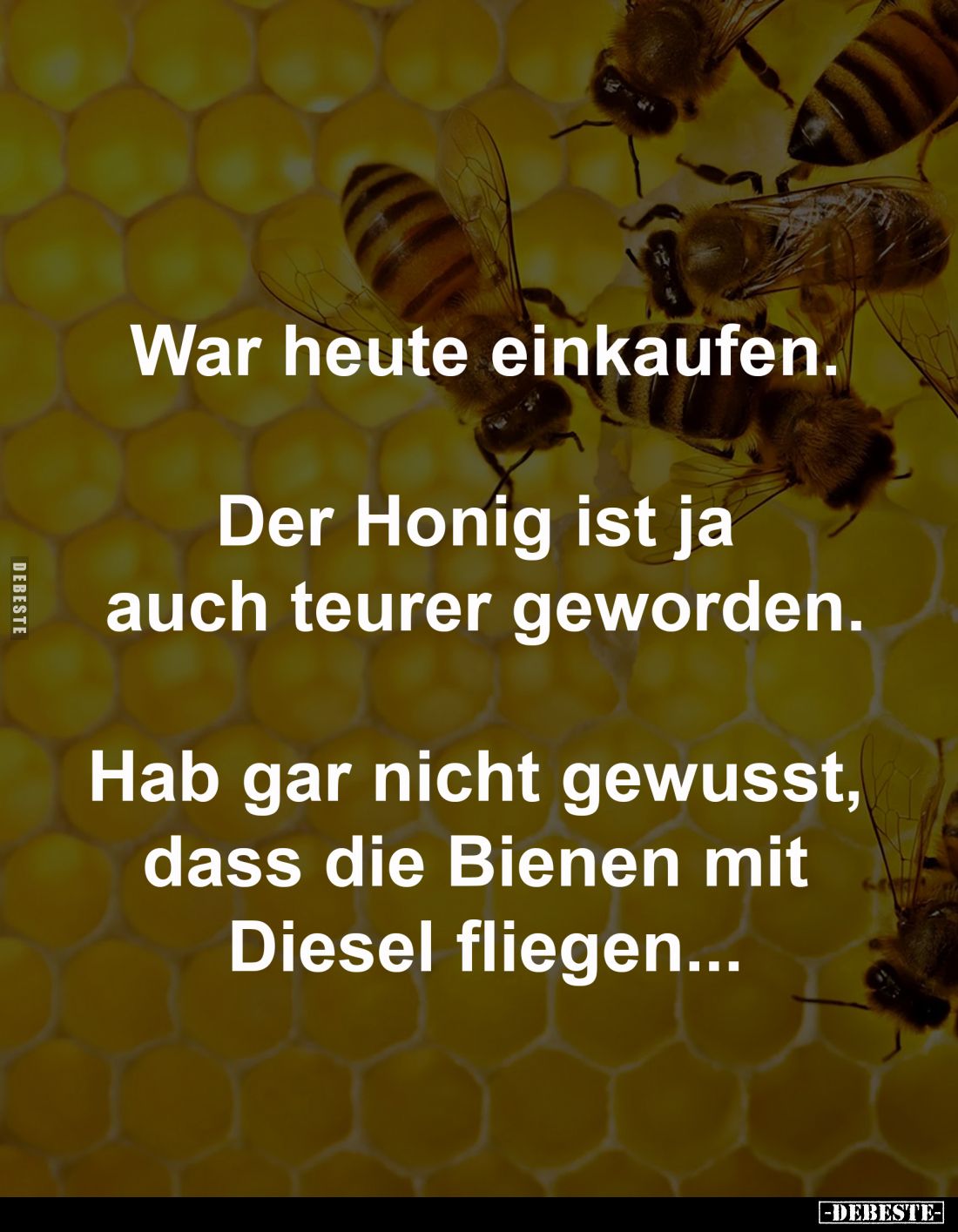 War heute einkaufen.
Der Honig ist ja
auch teurer geworden.
Hab gar nicht gewusst,
dass die Bienen mit
Diesel fli...