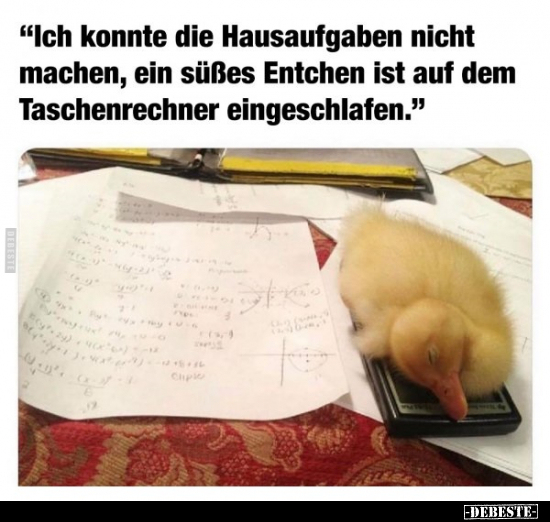 "Ich konnte die Hausaufgaben nicht machen, ein süßes.." - Lustige Bilder | DEBESTE.de
