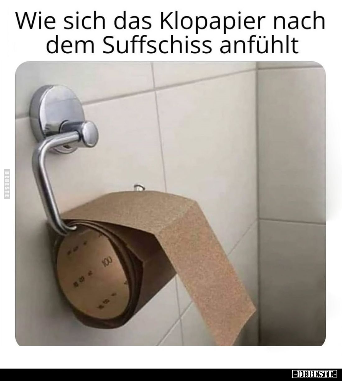 Wie sich das Klopapier nach dem Suffschiss anfühlt