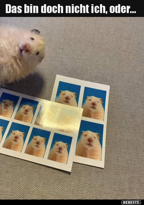 Das bin doch nicht ich, oder...